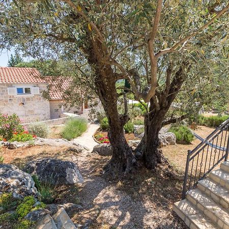 Apartamento Olive Garden Ston Exterior foto