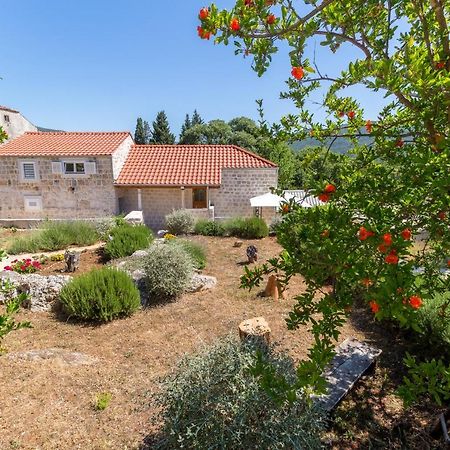 Apartamento Olive Garden Ston Exterior foto