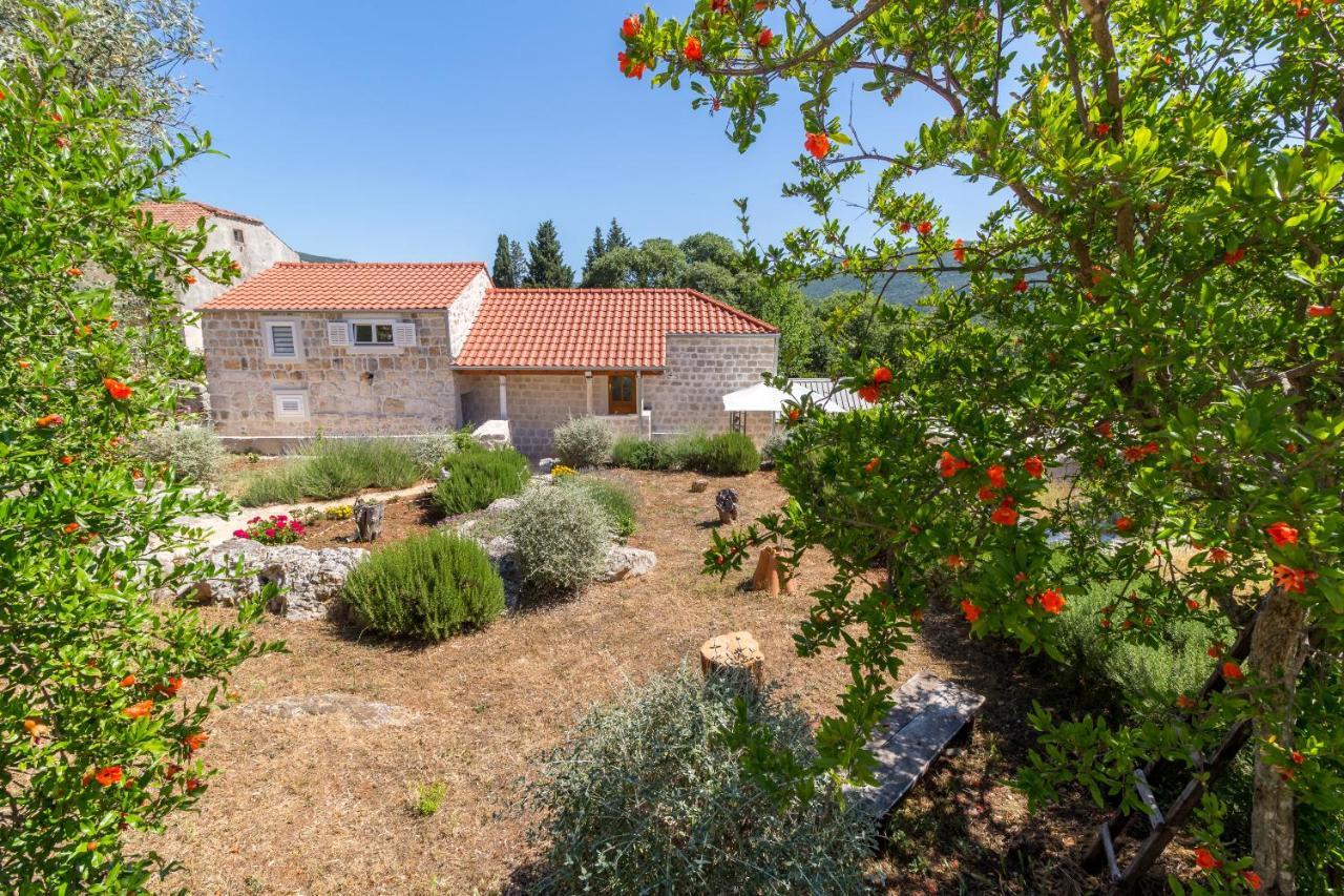 Apartamento Olive Garden Ston Exterior foto